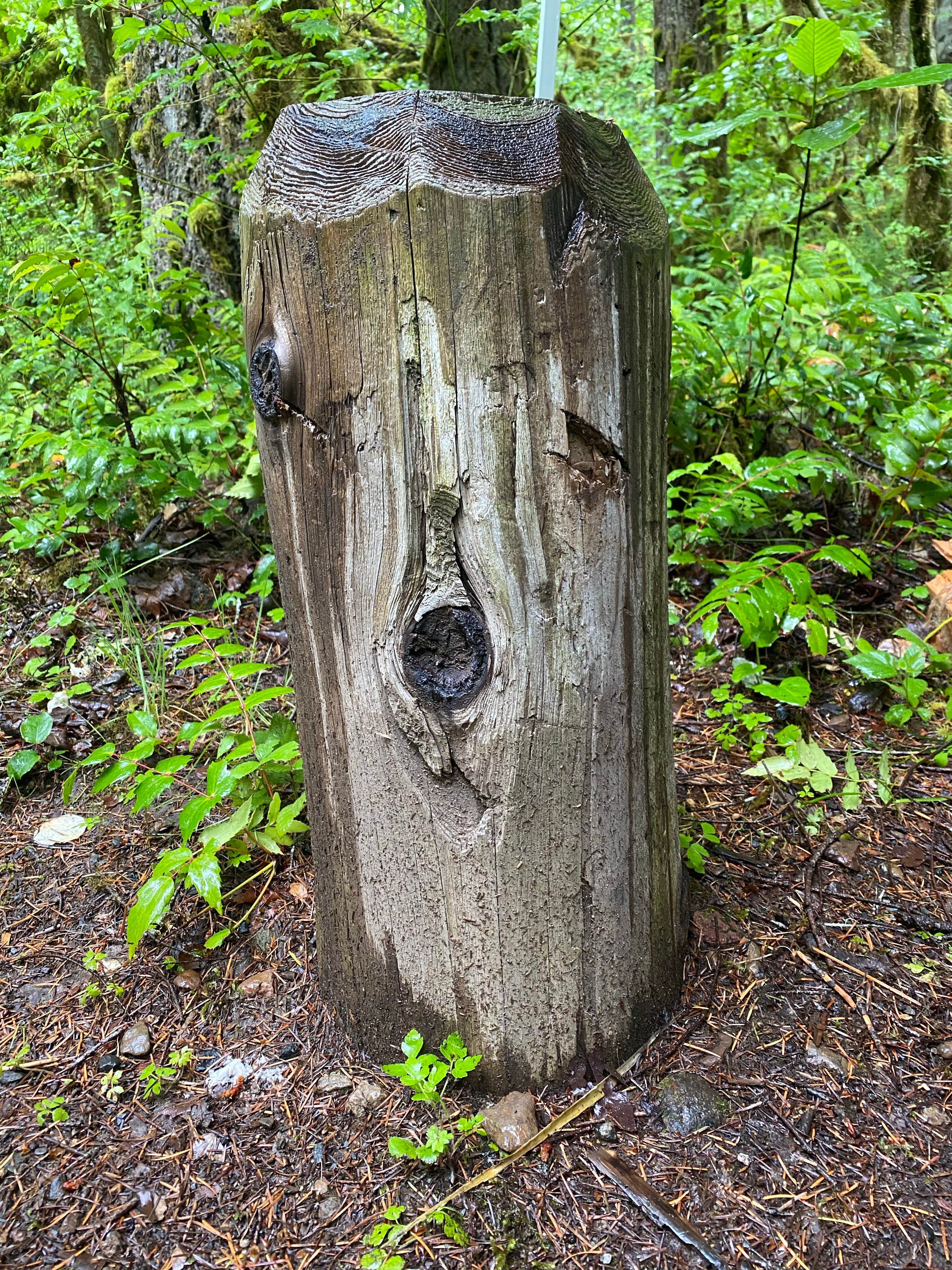 Camper-submitted photo at Trout Creek Campground near Cascadia, OR