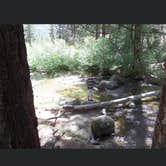 Review photo of Grover Hot Springs State Park Campground by Cassidy Y., June 15, 2020