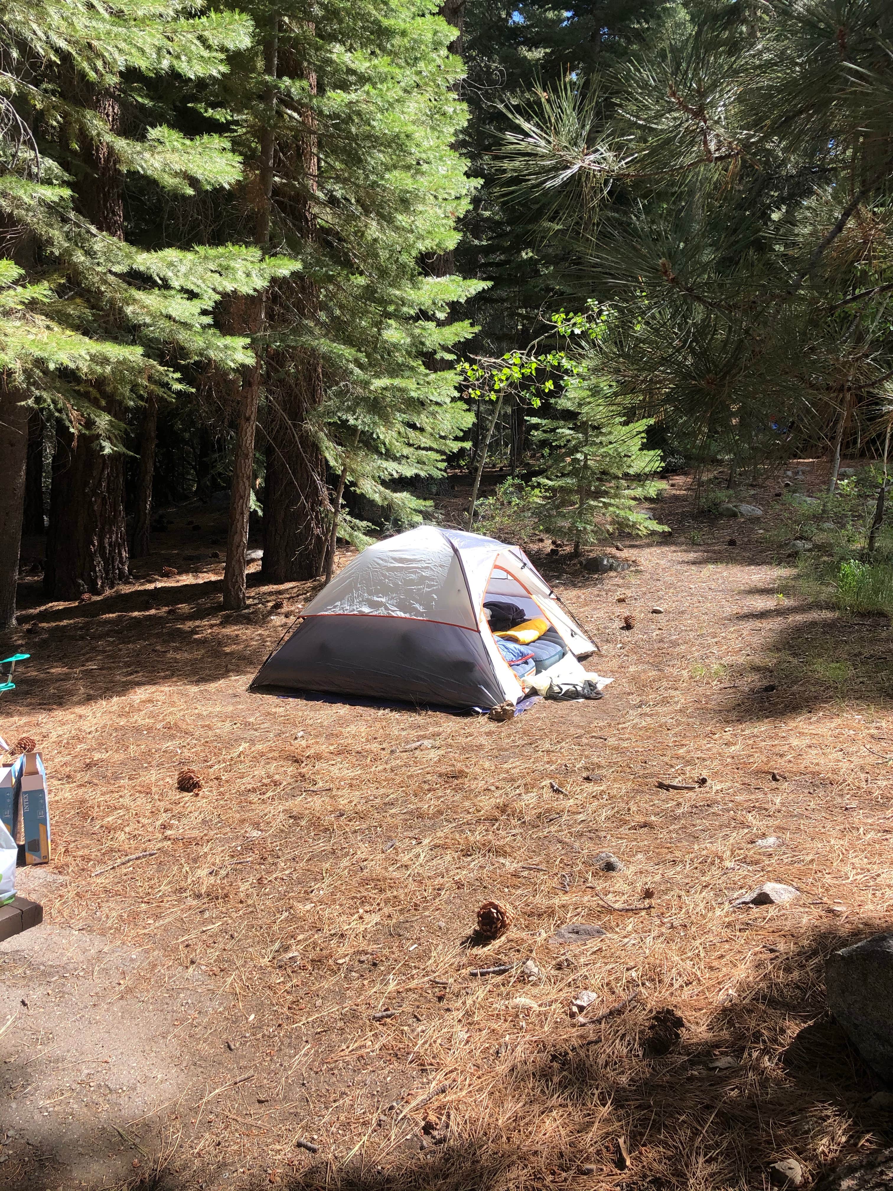 Cassidy Y.'s photo at Buckeye Campground near Bridgeport, CA