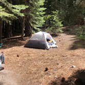 Review photo of Buckeye Campground by Cassidy Y., June 15, 2020