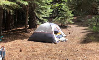 Cassidy Y.'s photo at Buckeye Campground near Hawthorne, NV