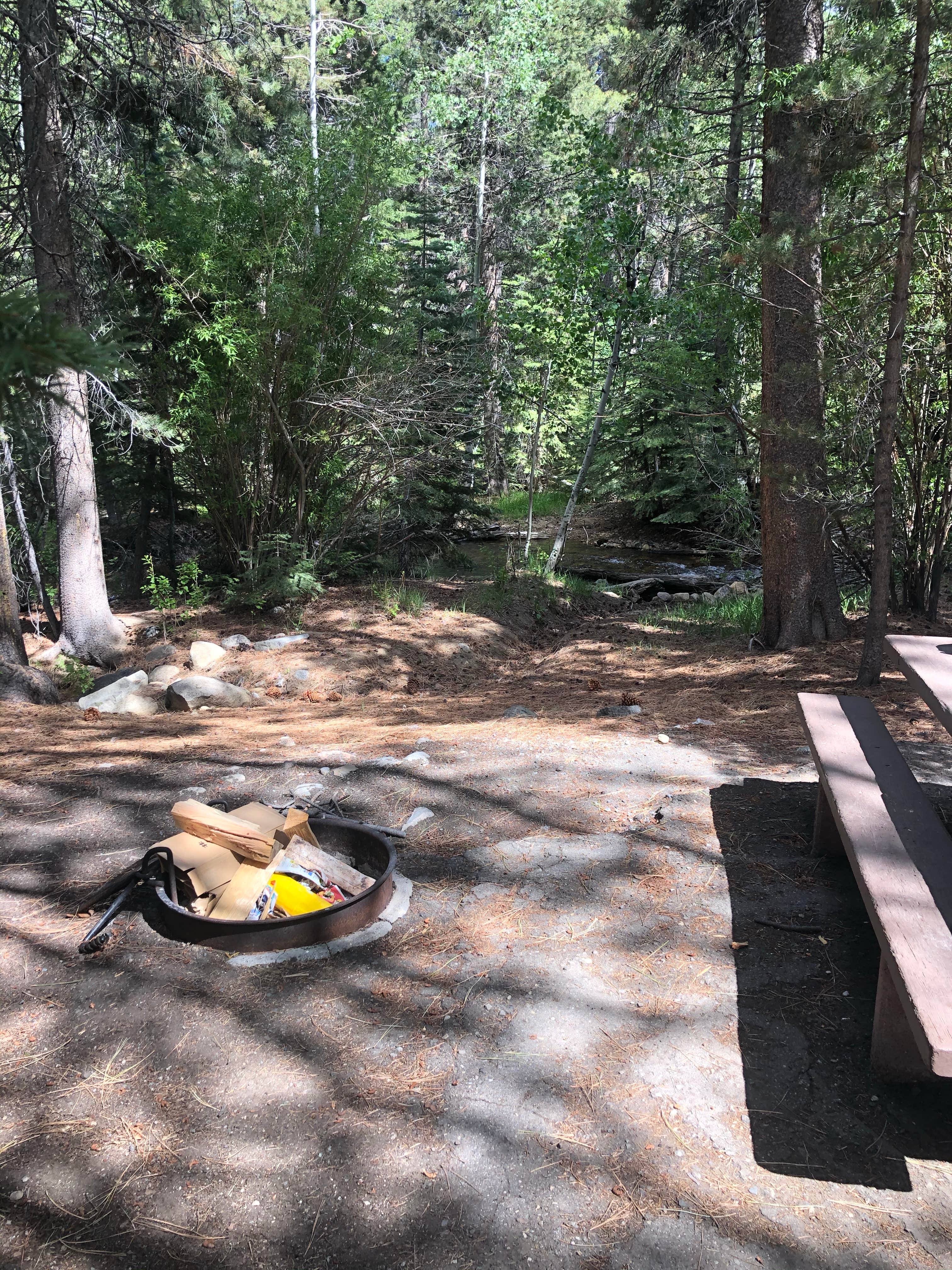 Camper-submitted photo at Buckeye Campground near Coleville, CA