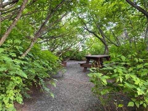 Camper submitted image from Bear Paw RV Park II (Adults Only) - 3