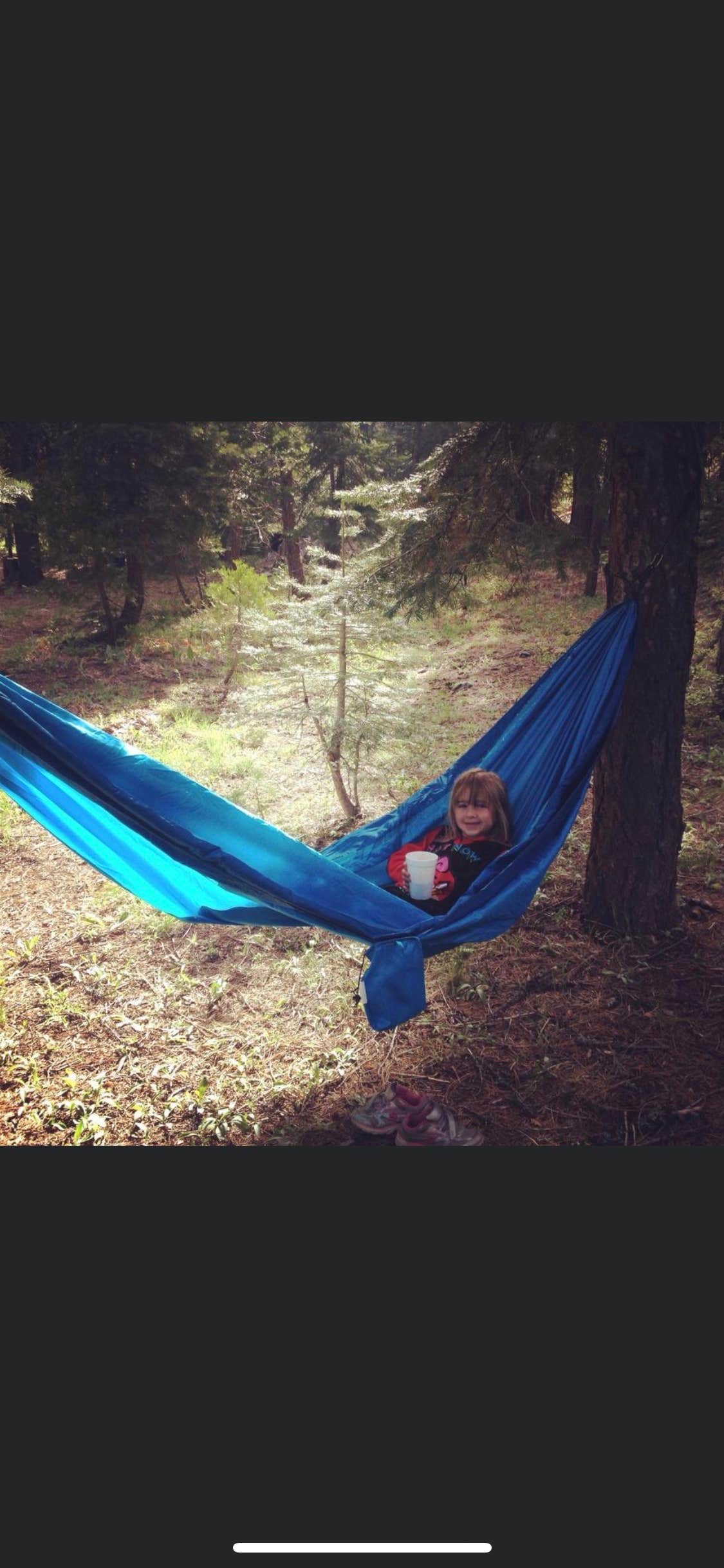 Camper submitted image from French Meadows - 4