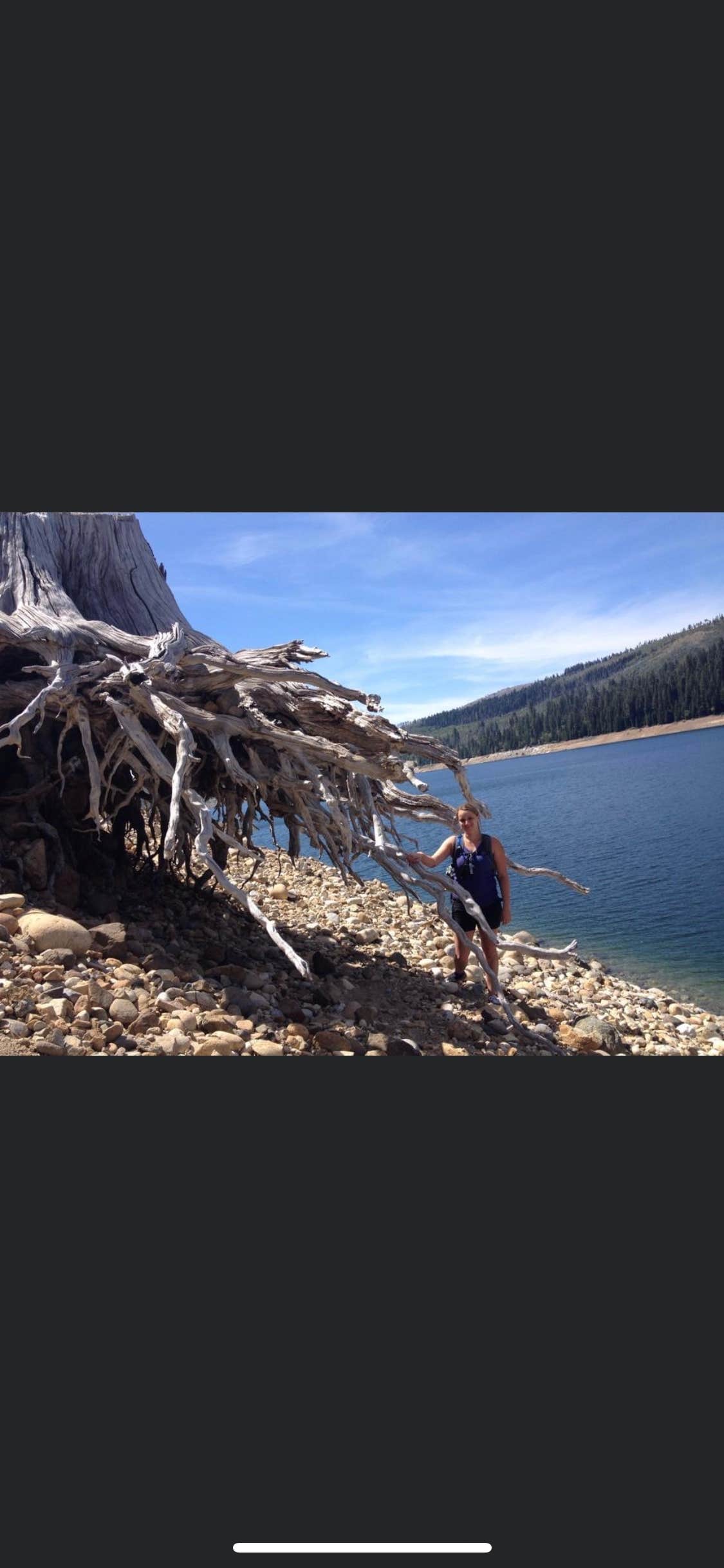 Camper-submitted photo at French Meadows near Lake Tahoe Basin Management Unit