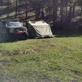 Review photo of DeMotte National Forest Campground by Shelley K., July 1, 2016