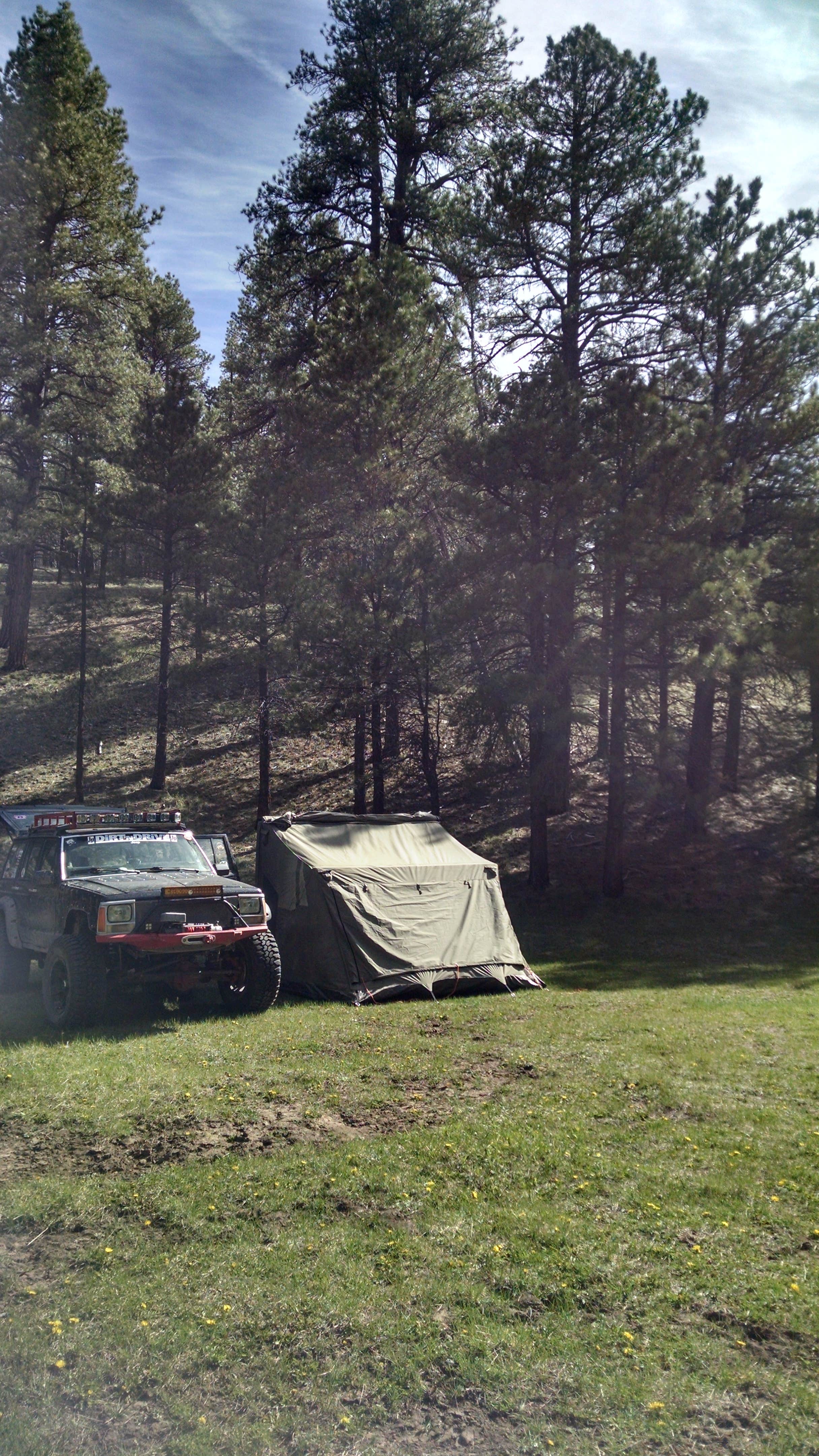 Camper submitted image from DeMotte National Forest Campground - 4
