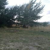 Review photo of McClendon Spring Campground by Natalie B., October 22, 2017
