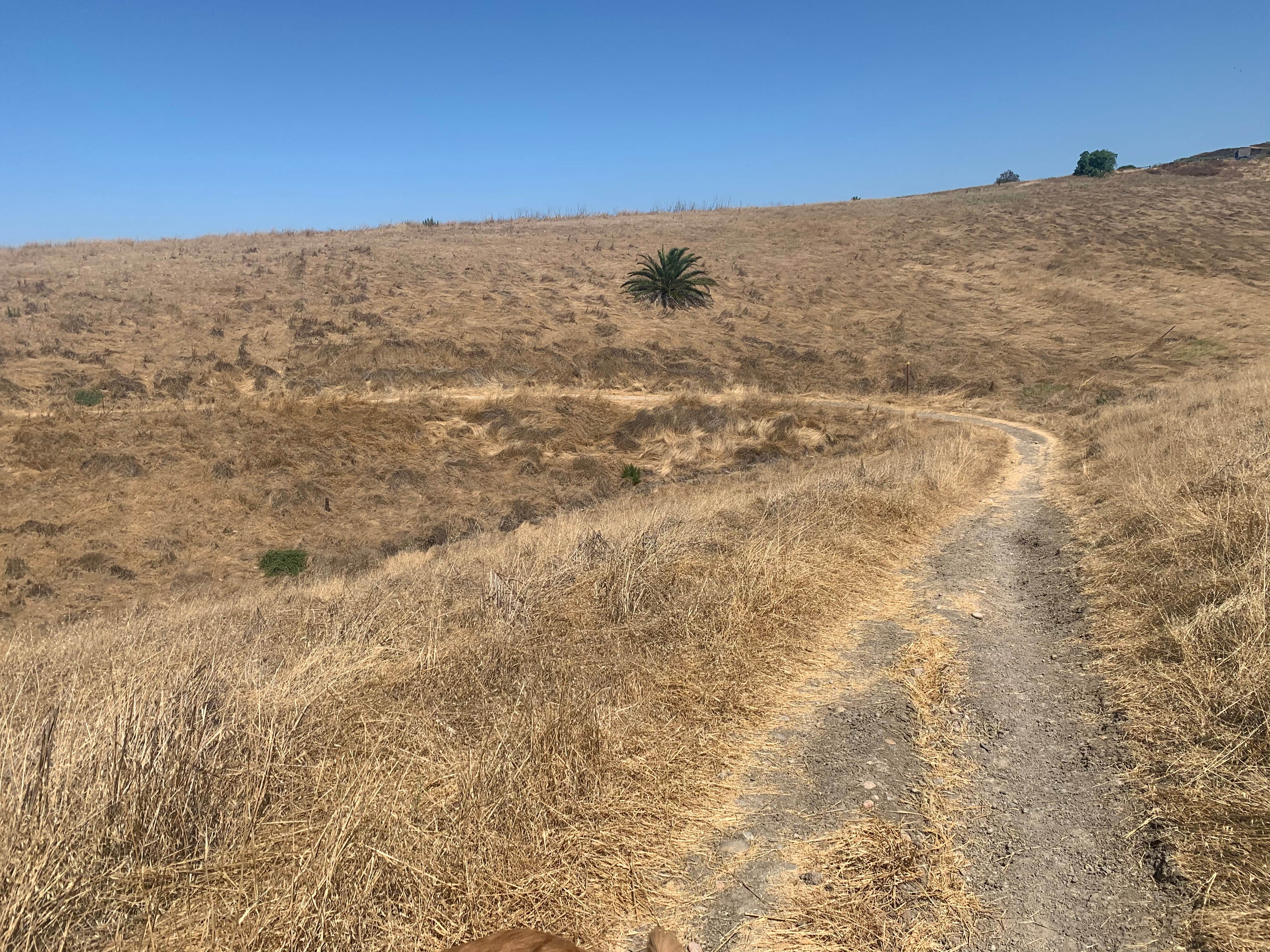 Camper-submitted photo at Sweetwater Summit Regional Park near Alpine, CA