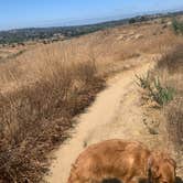 Review photo of Sweetwater Summit Regional Park by Ryan K., June 15, 2020