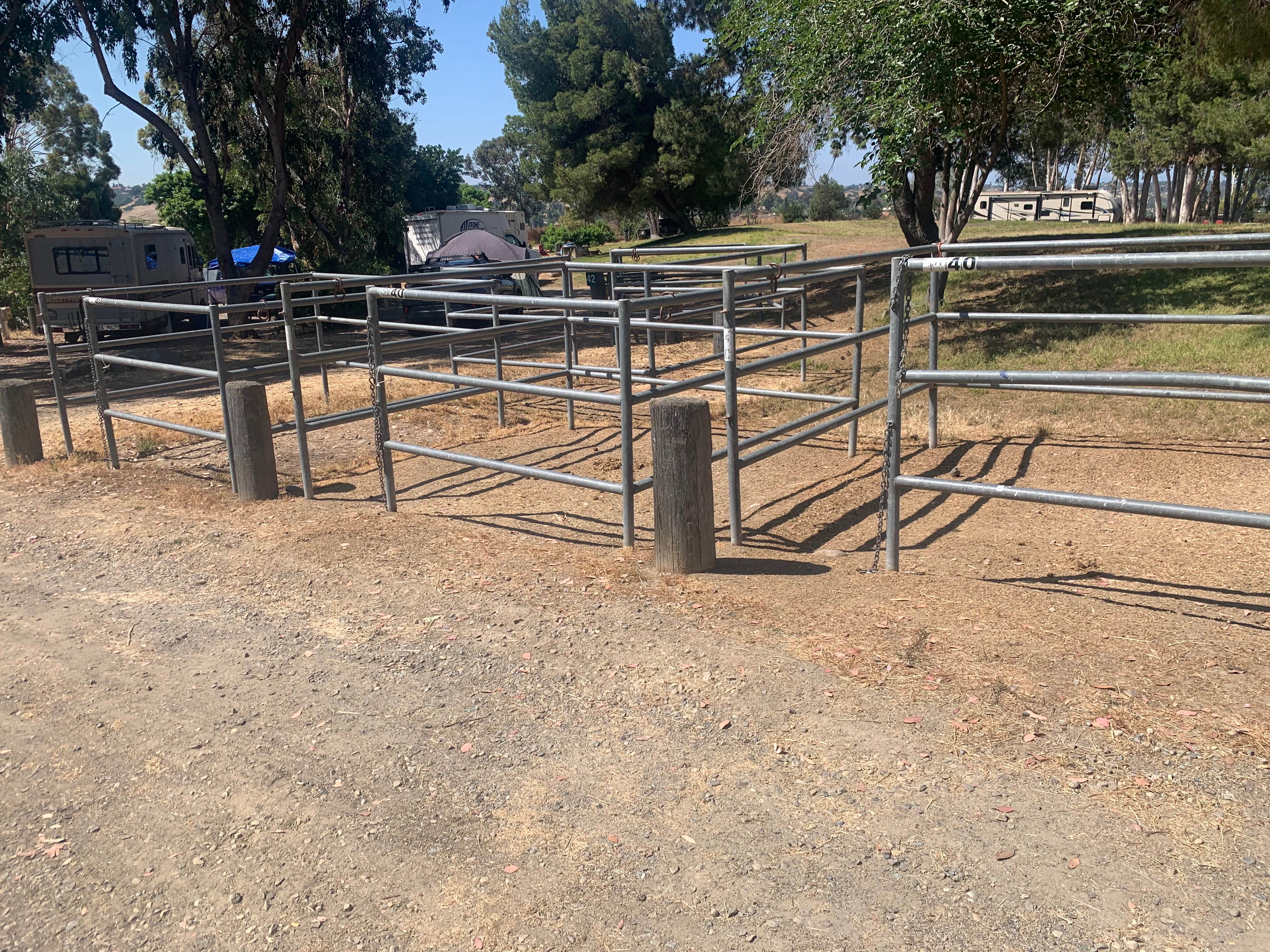 Ryan K.'s photo of camping with a horse at Sweetwater Summit Regional Park near Ranchita, CA