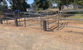 Ryan K.'s photo of camping with a horse at Sweetwater Summit Regional Park near Boulevard, CA