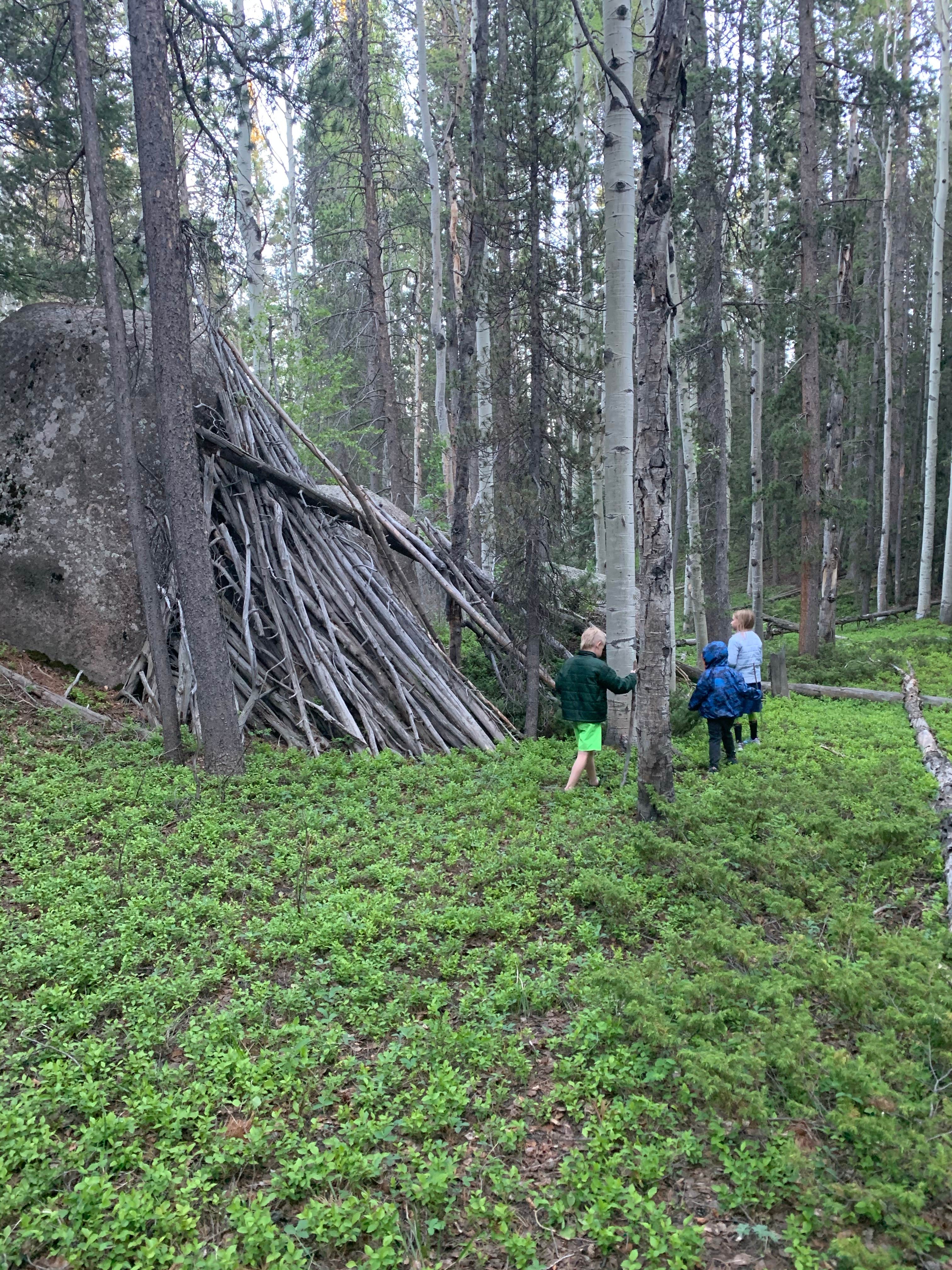 Camper-submitted photo at Rampart Range Recreation Area near Littleton, CO