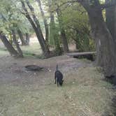 Review photo of McClendon Spring Campground by Natalie B., October 22, 2017