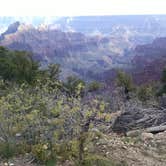 Review photo of DeMotte National Forest Campground by Shelley K., July 1, 2016