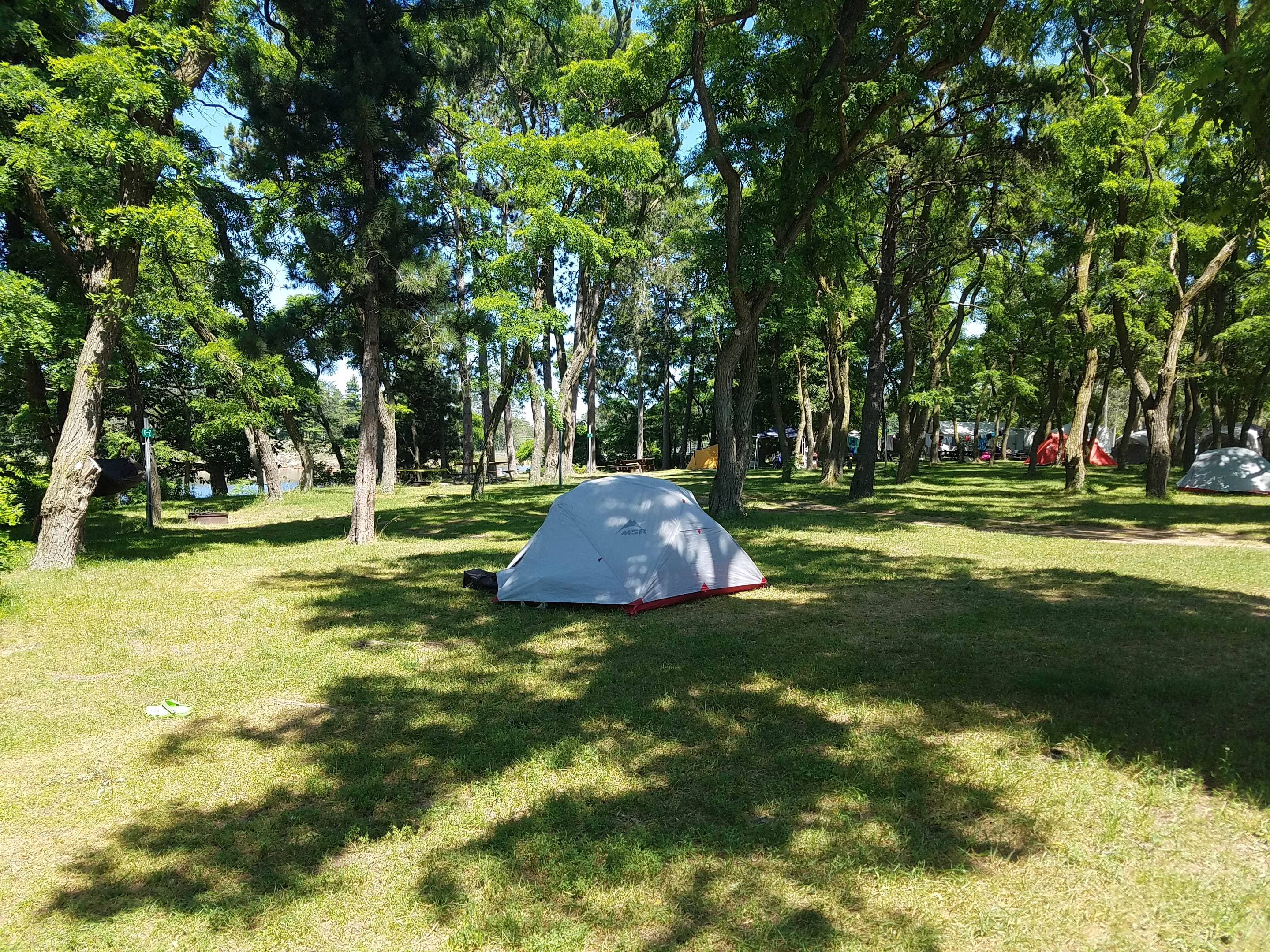 Camper submitted image from Marquette Tourist Park Campground - 2
