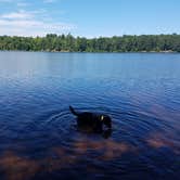 Review photo of Marquette Tourist Park Campground by Nancy W., October 22, 2017