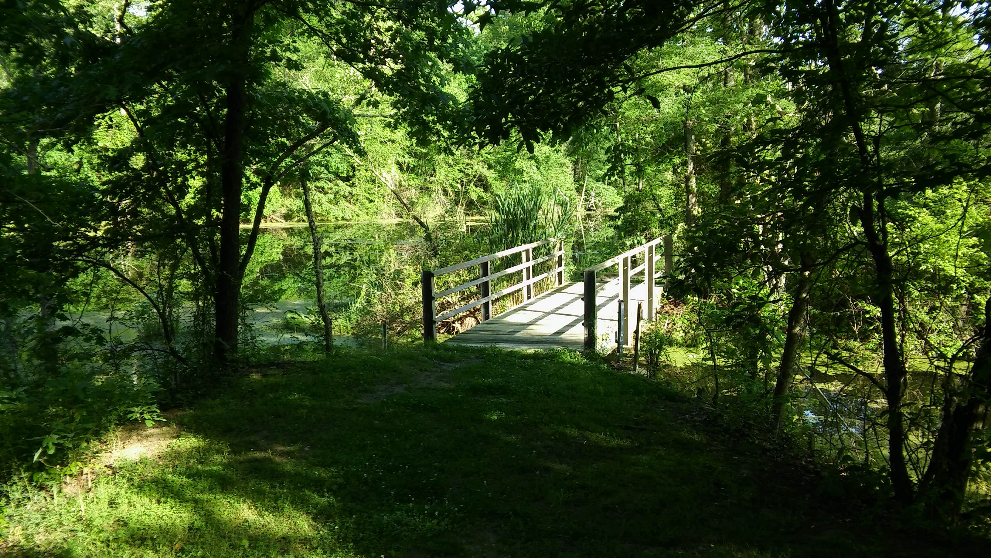 Camper submitted image from Pyramid State Recreation Area - 2