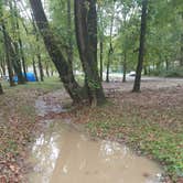 Review photo of Eagle Bluff Resort by Staci R., October 22, 2017