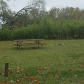 Review photo of Eagle Bluff Resort by Staci R., October 22, 2017