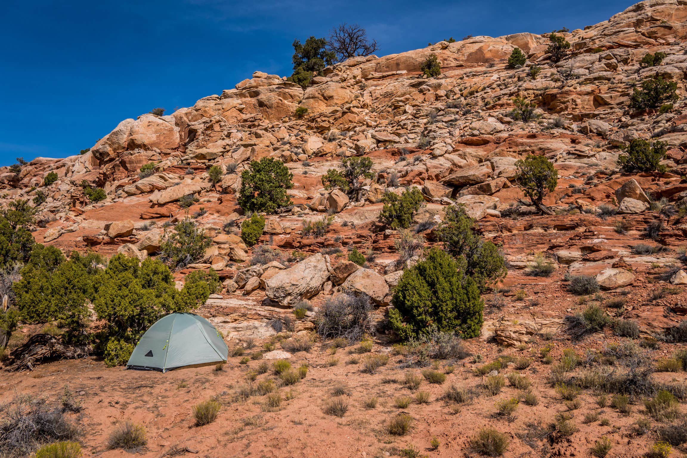 Camper submitted image from Salt Valley Dispersed Camping - 4