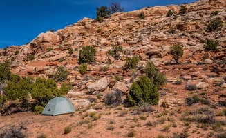 Stavros M.'s photo at Salt Valley Dispersed Camping near Green River, UT
