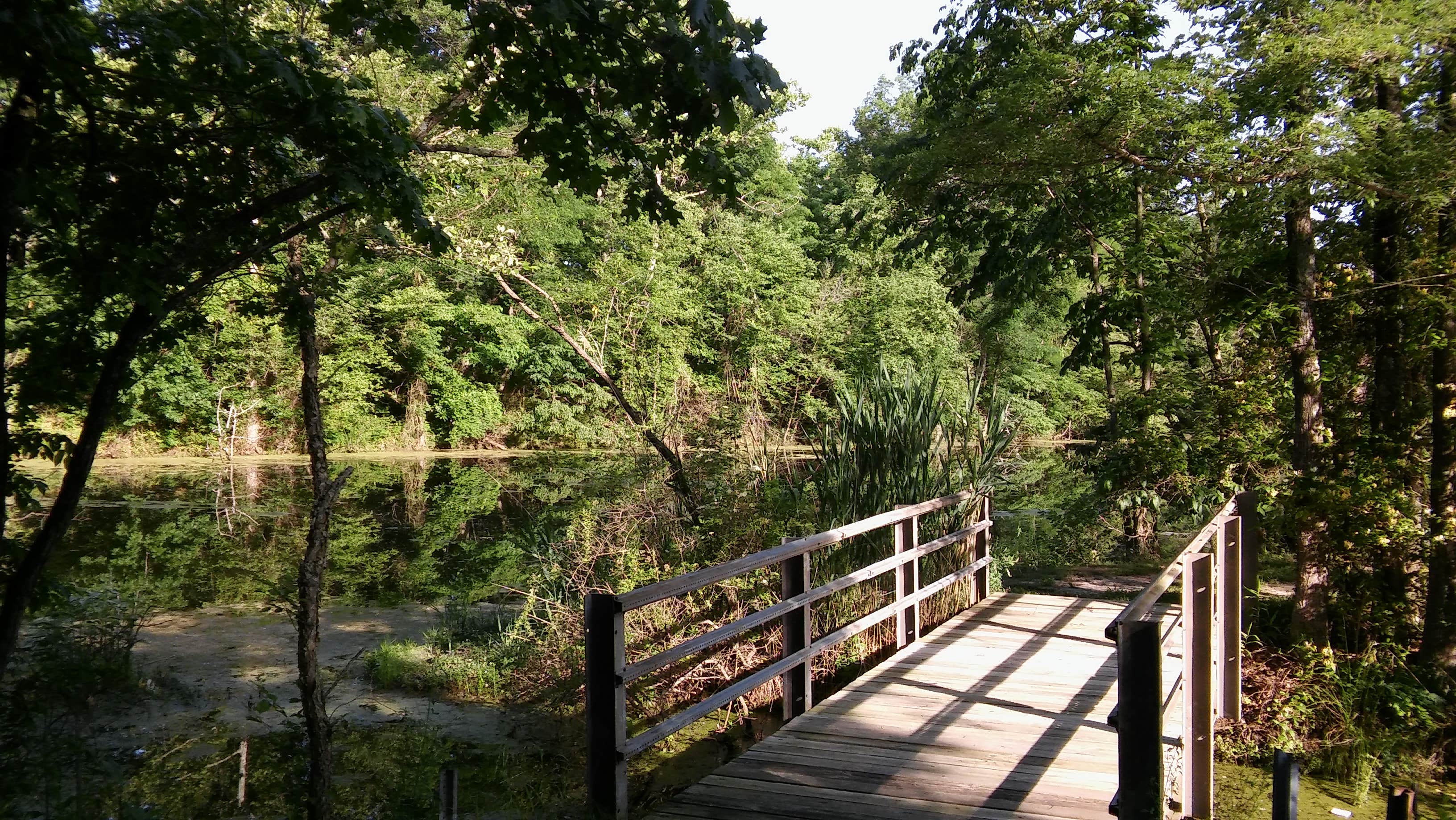 Camper submitted image from Pyramid State Recreation Area - 2