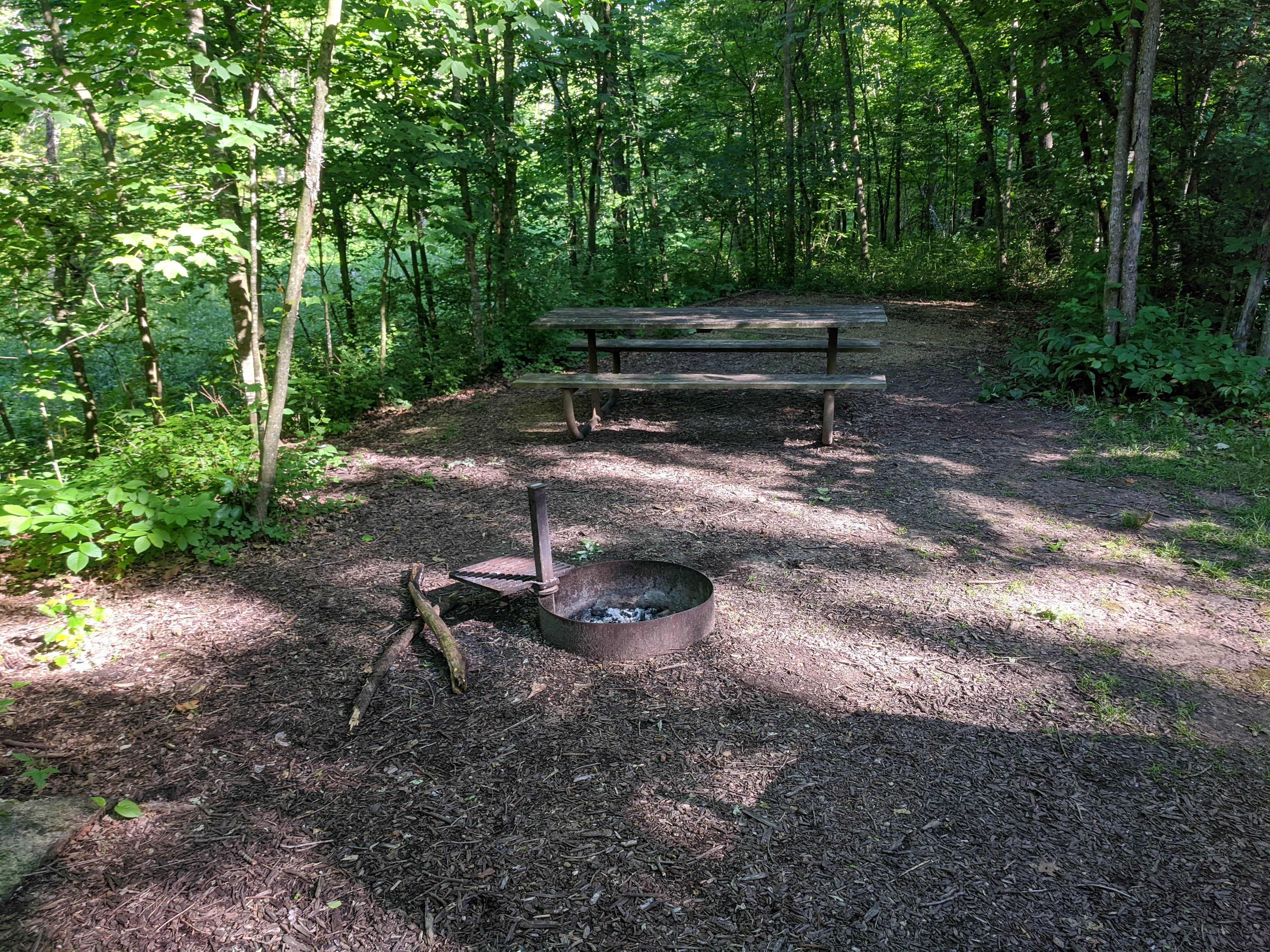 Camper submitted image from Beaver Creek Valley State Park Campground - 4