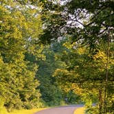 Review photo of Versailles State Park Campground by Stacey S., June 15, 2020