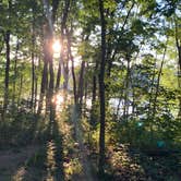 Review photo of Versailles State Park Campground by Stacey S., June 15, 2020