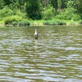 Review photo of Versailles State Park Campground by Stacey S., June 15, 2020