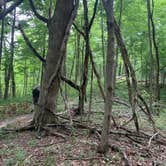 Review photo of Versailles State Park Campground by Stacey S., June 15, 2020