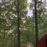 Review photo of Brown County State Park Campground by Stacey S., June 15, 2020