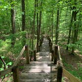 Review photo of Taylor Ridge Campground — Brown County State Park by Stacey S., June 15, 2020