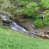 Review photo of Taylor Ridge Campground — Brown County State Park by Stacey S., June 15, 2020