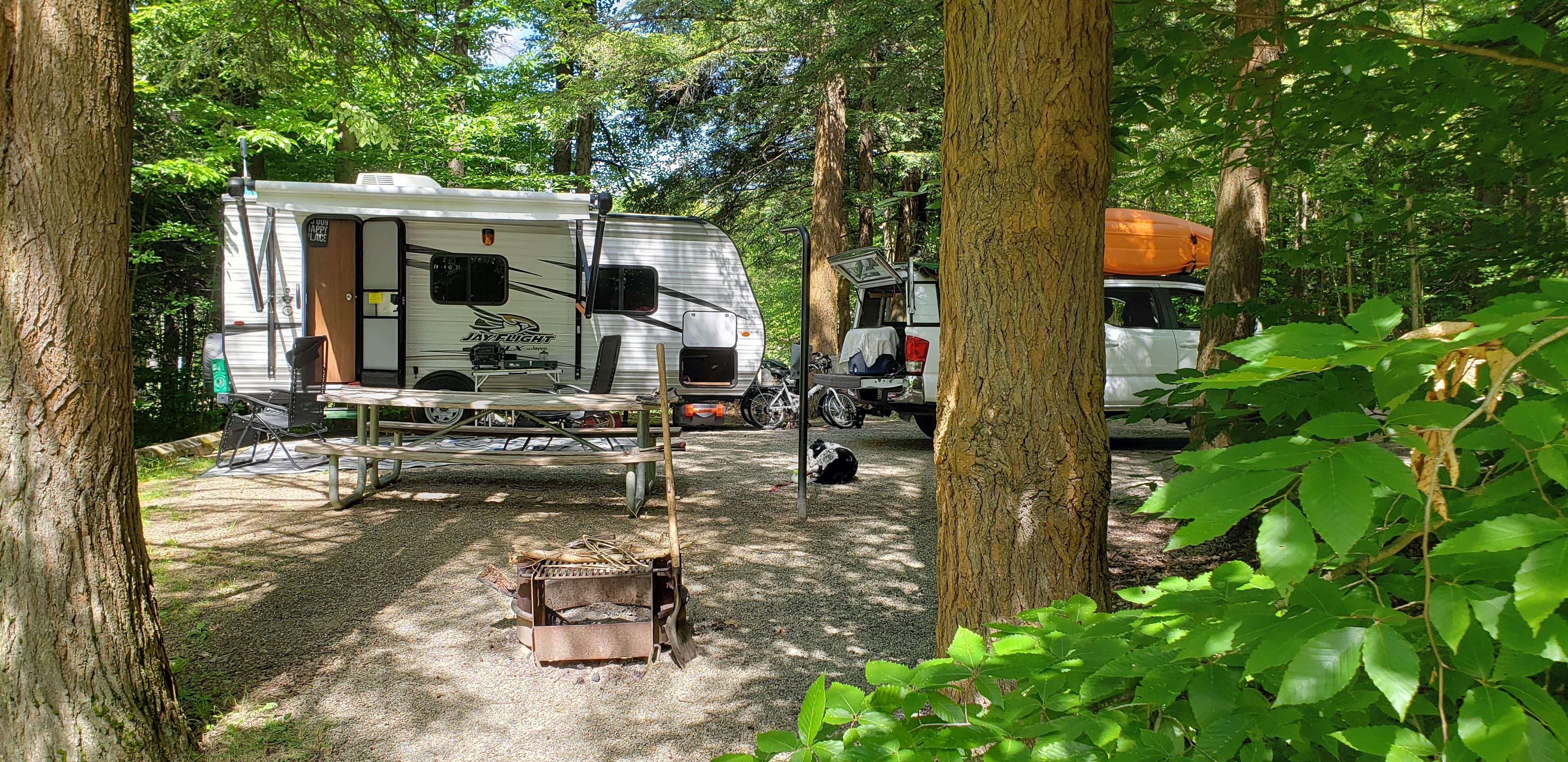 Larry M.'s photo of rv camping at Chapman State Park Campground near Marienville, PA