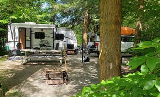 Larry M.'s photo of rv camping at Chapman State Park Campground near Marienville, PA