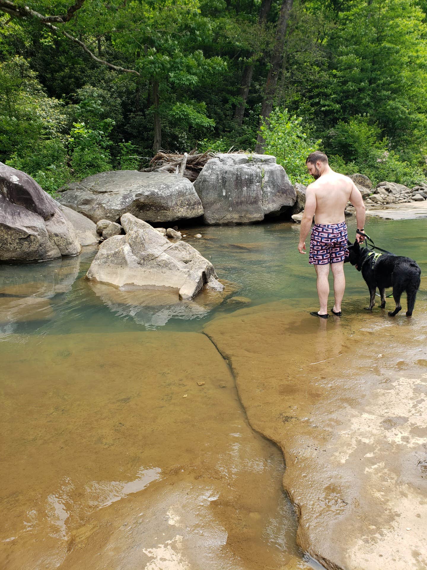 David F.'s photo of camping with pets at Audra State Park Campground near Volga, WV