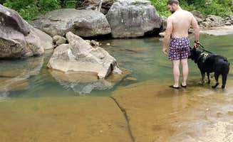 David F.'s photo of camping with pets at Audra State Park Campground near Fairmont, WV
