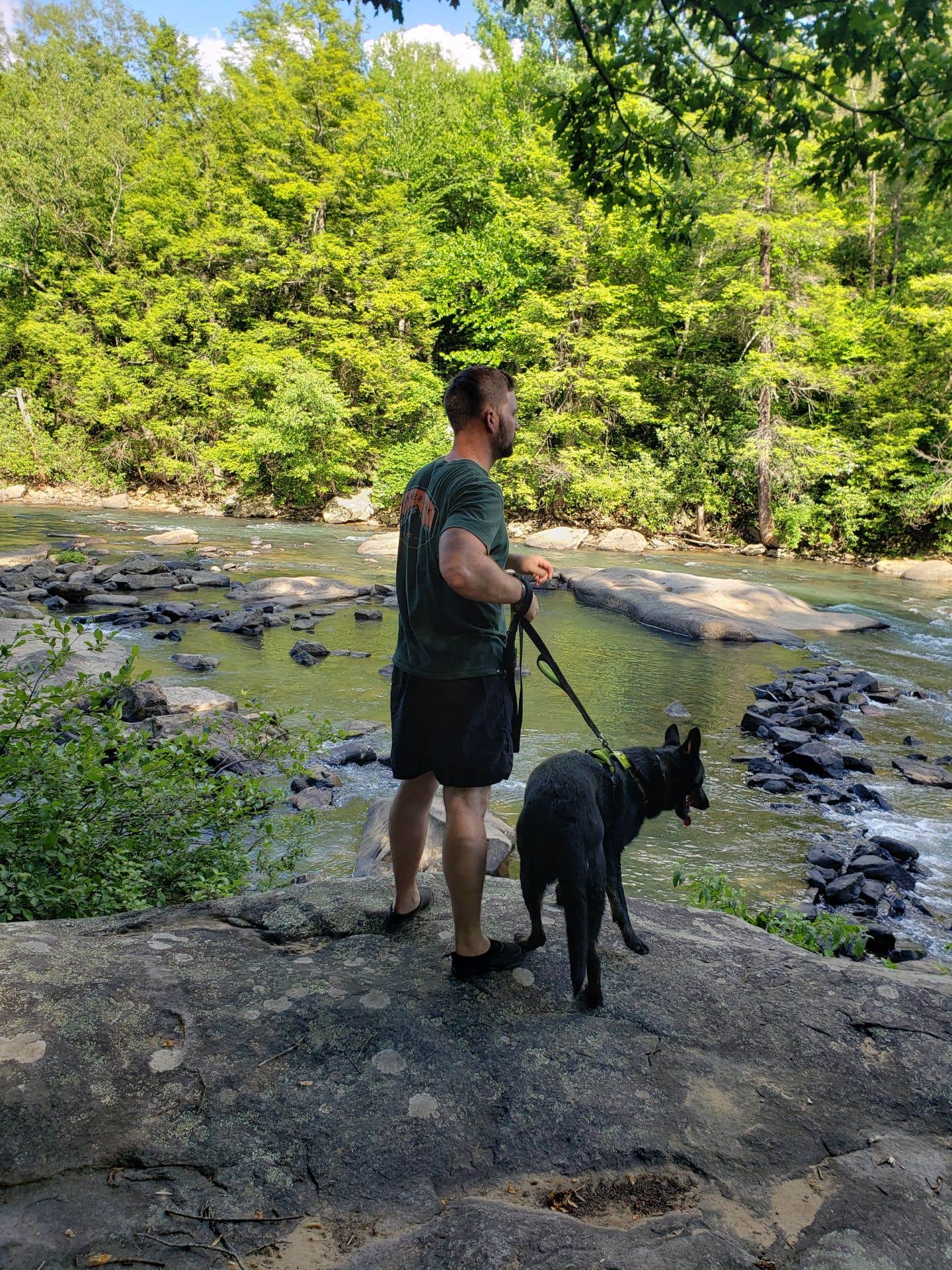 David F.'s photo of camping with pets at Audra State Park Campground near Paw Paw, WV