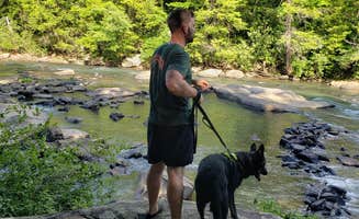 David F.'s photo of camping with pets at Audra State Park Campground near Walkersville, WV