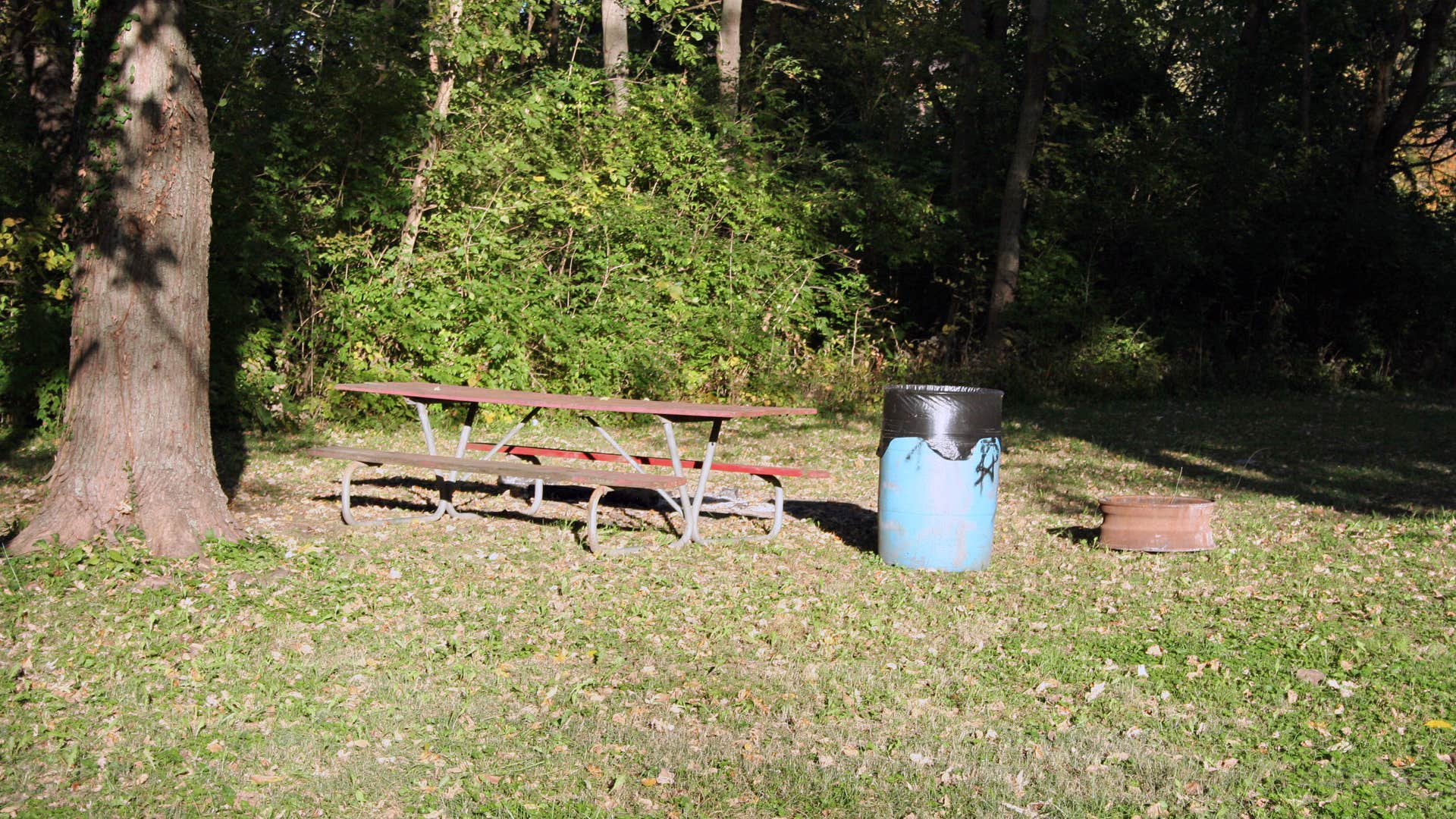 Camper submitted image from Spillway (IL) - 1
