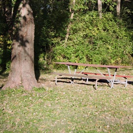 A primitive site at Kaskaskia River Campground