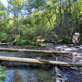 Review photo of Sourwood Campground by Dan R., June 15, 2020