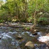 Review photo of Sourwood Campground by Dan R., June 15, 2020