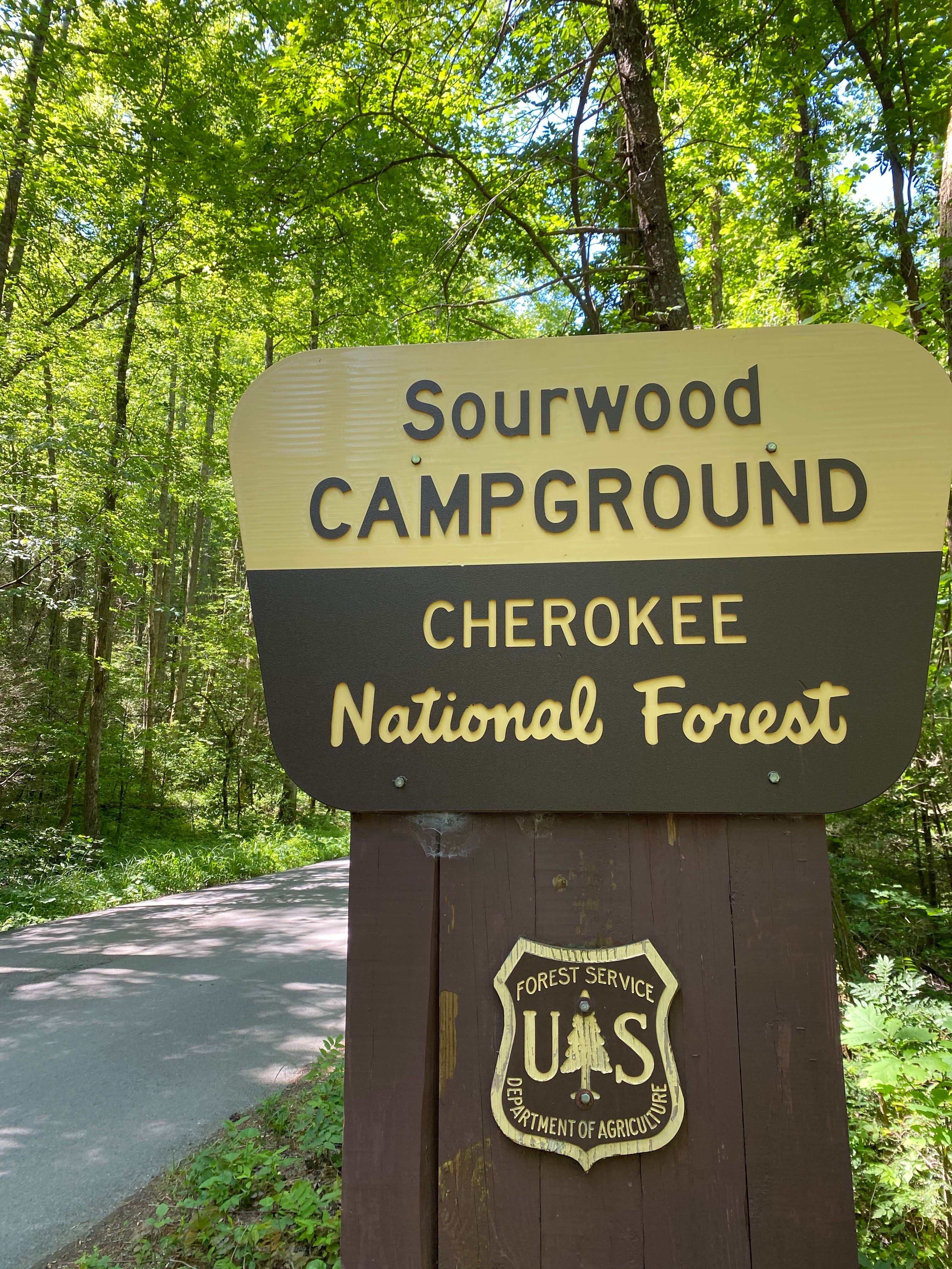 Camper submitted image from Sourwood Campground - 4