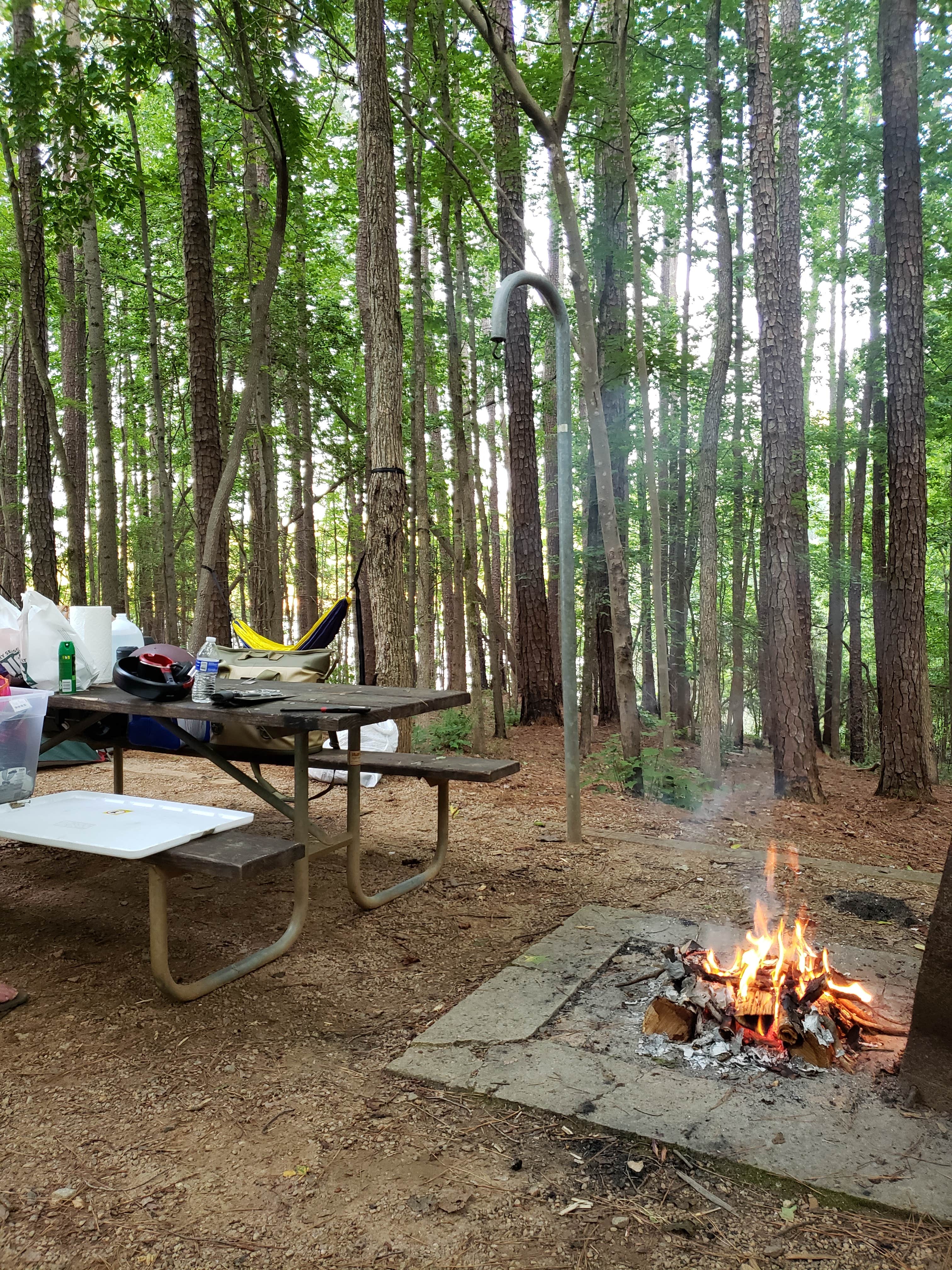Dustin V.'s photo at Holly Point — Falls Lake State Recreation Area near Durham, NC