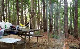 Dustin V.'s photo at Holly Point — Falls Lake State Recreation Area near Wake Forest, NC