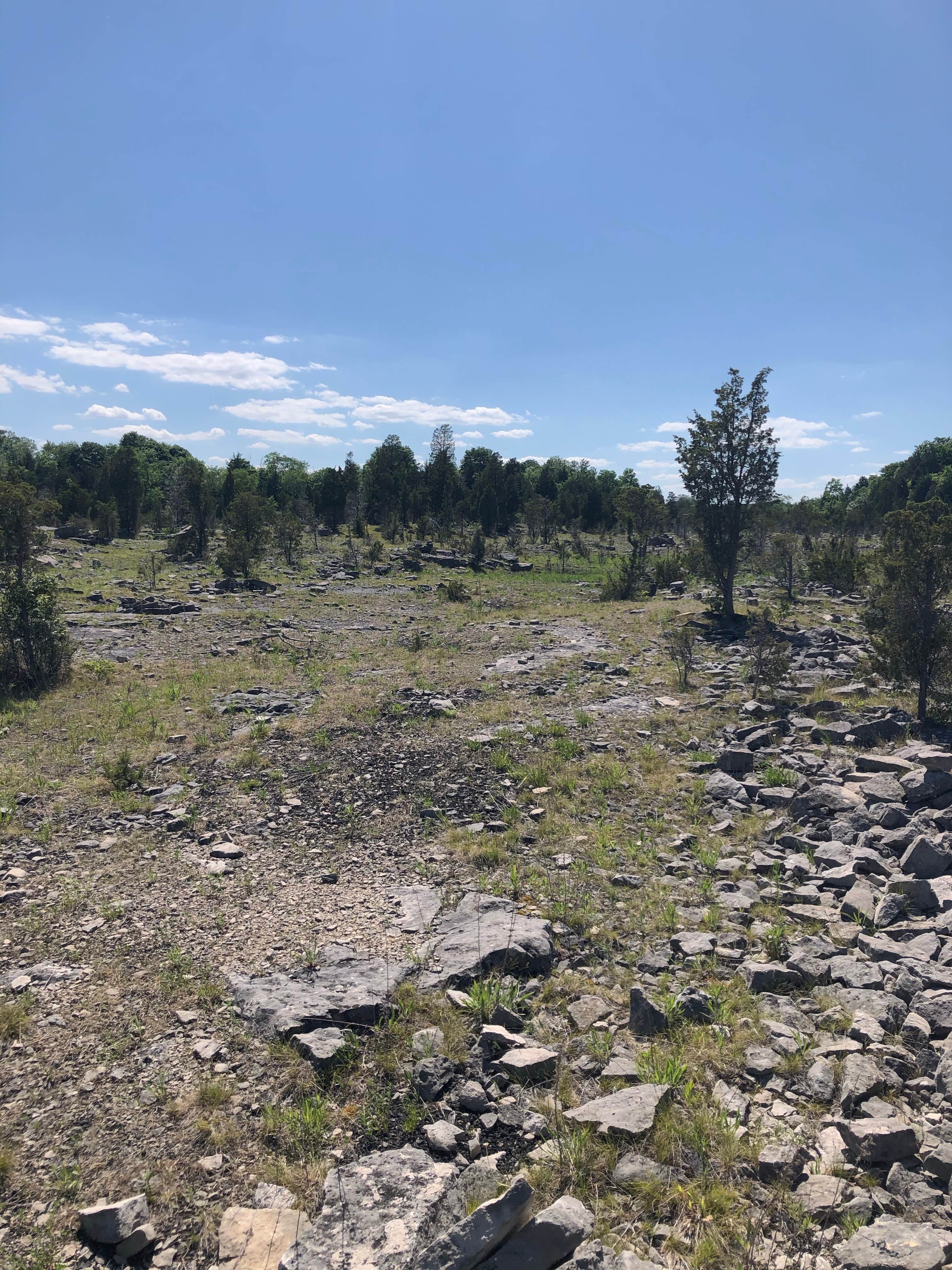 Kelleys Island State Park Campground