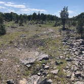 Review photo of Kelleys Island State Park Campground by Amy S., June 8, 2020